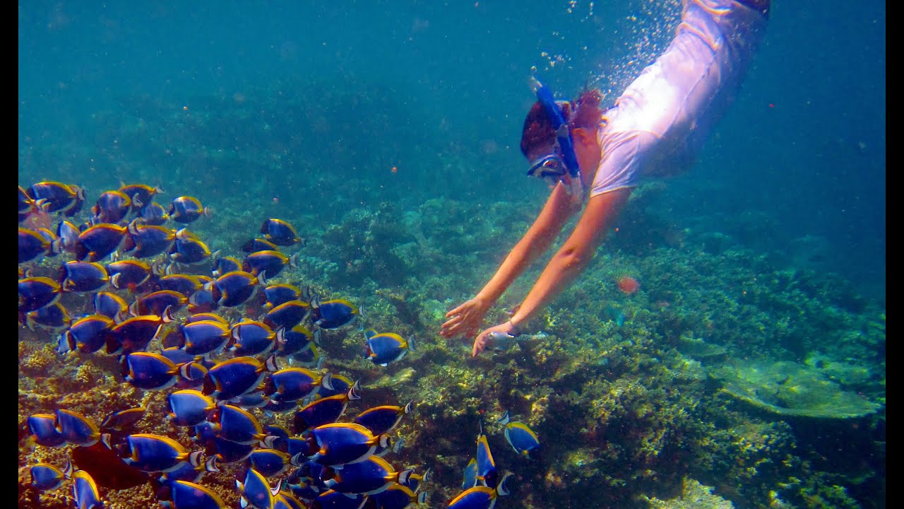 snorkeling in Maldives.jpg